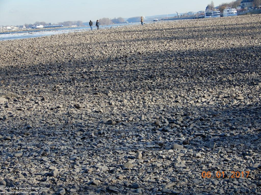 Niedrigwasser am Rhein bei Bingen - Mäuseturm