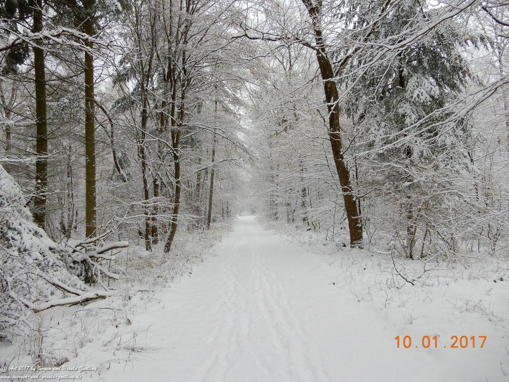 Felder von Mainz Finthen und Ober Olmer Wald im Schnee
