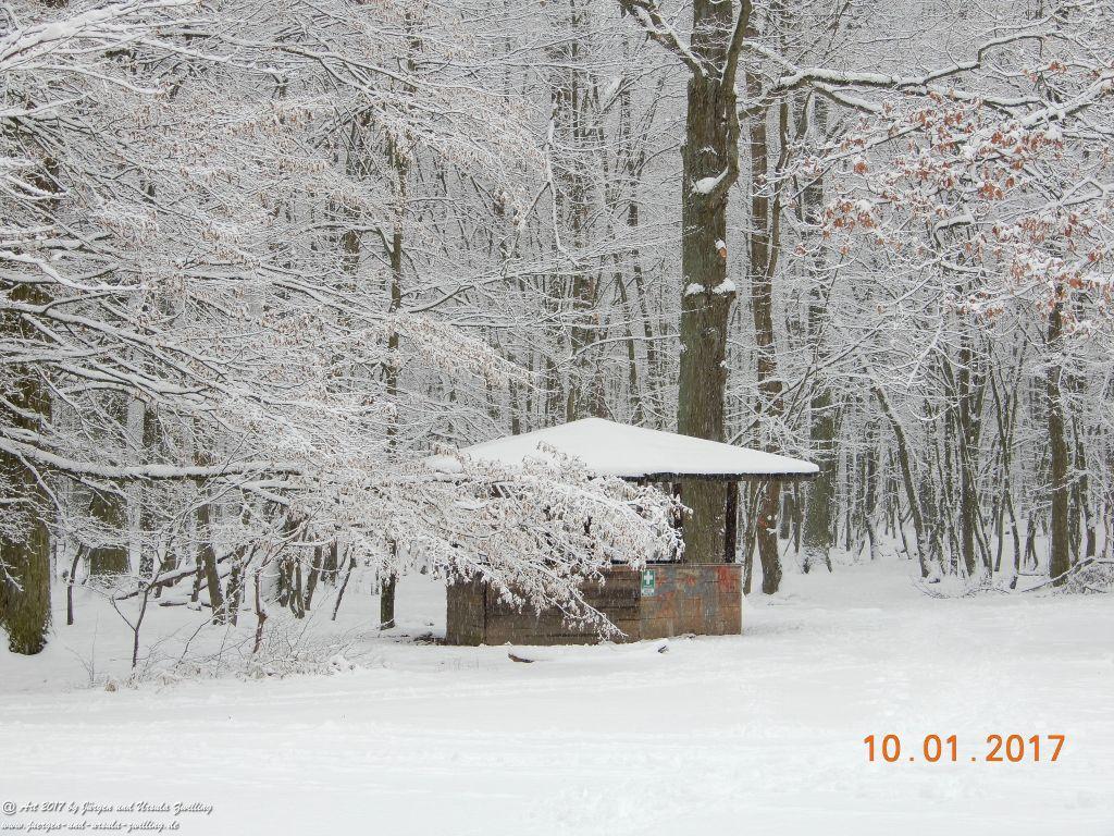 Felder von Mainz Finthen und Ober Olmer Wald im Schnee