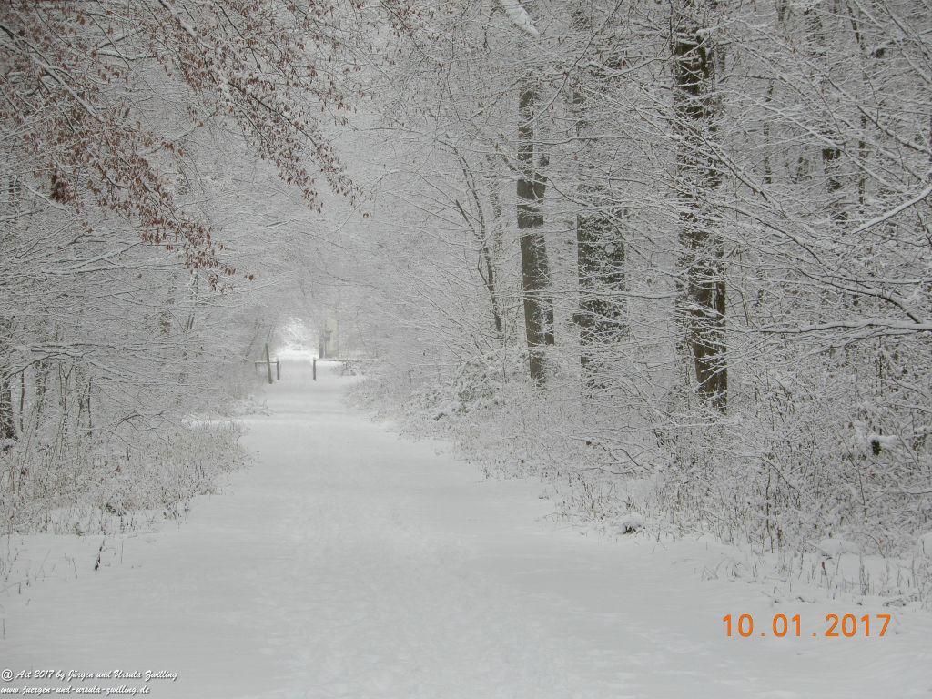 Felder von Mainz Finthen und Ober Olmer Wald im Schnee