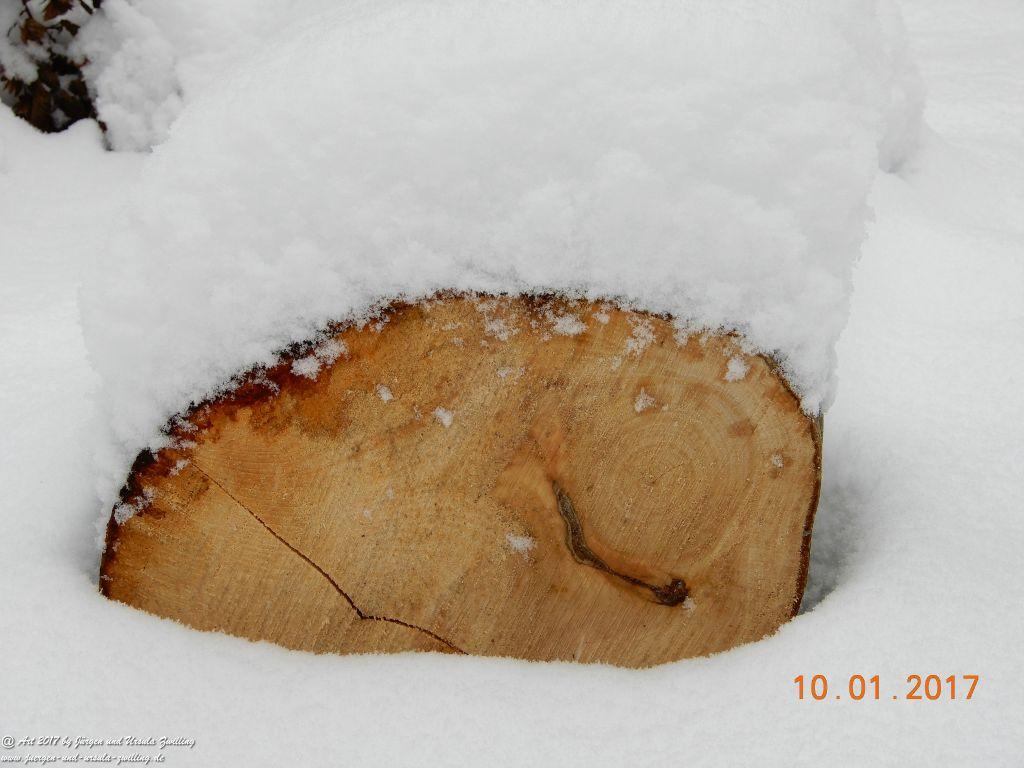 Felder von Mainz Finthen und Ober Olmer Wald im Schnee
