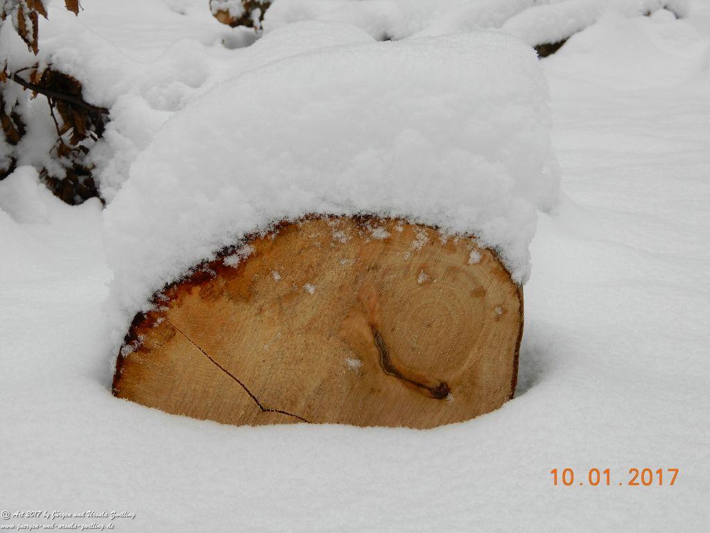 Felder von Mainz Finthen und Ober Olmer Wald im Schnee