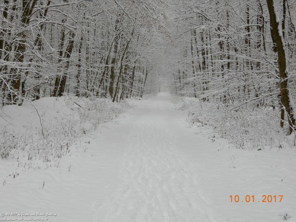 Felder von Mainz Finthen und Ober Olmer Wald im Schnee