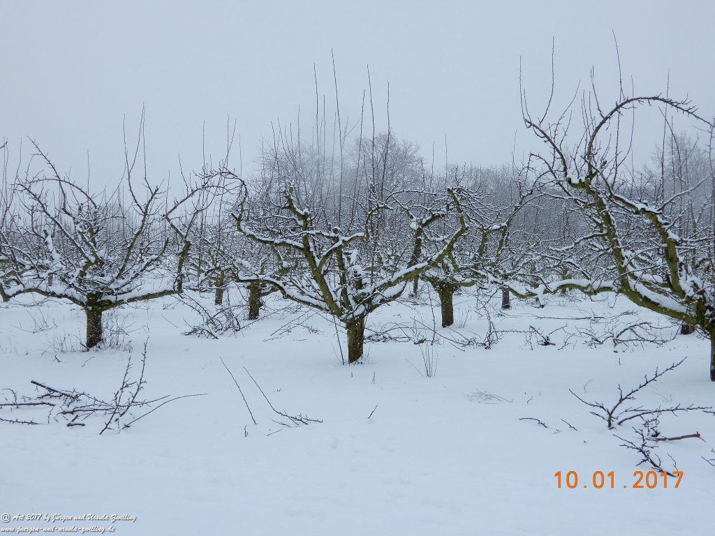 Felder von Mainz Finthen und Ober Olmer Wald im Schnee