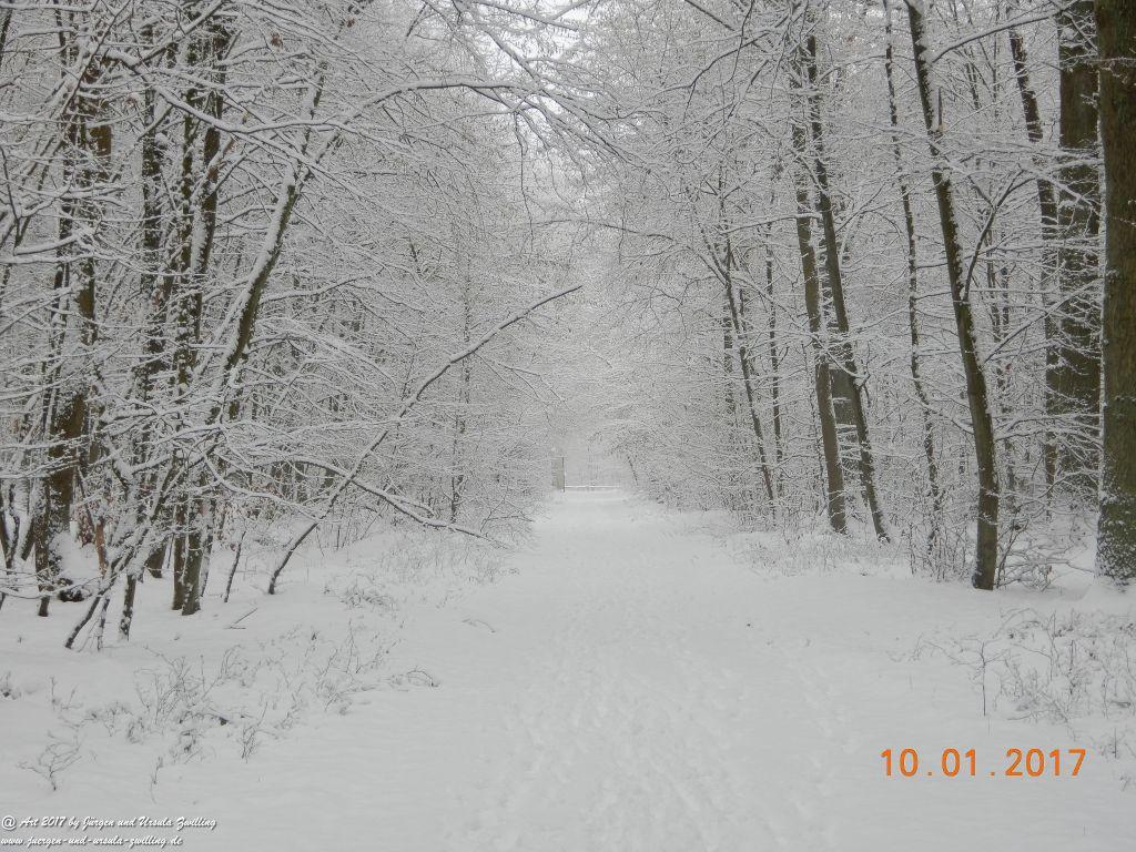 Felder von Mainz Finthen und Ober Olmer Wald im Schnee