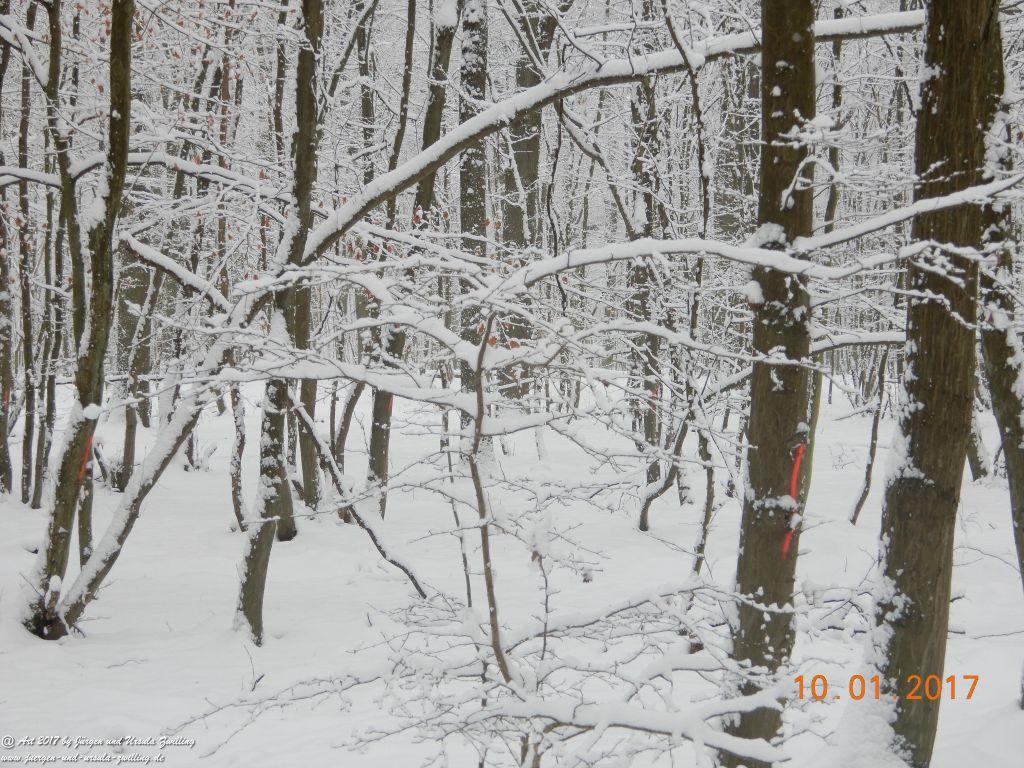 Felder von Mainz Finthen und Ober Olmer Wald im Schnee