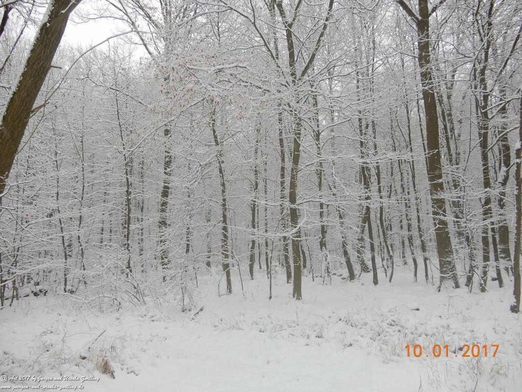 Felder von Mainz Finthen und Ober Olmer Wald im Schnee
