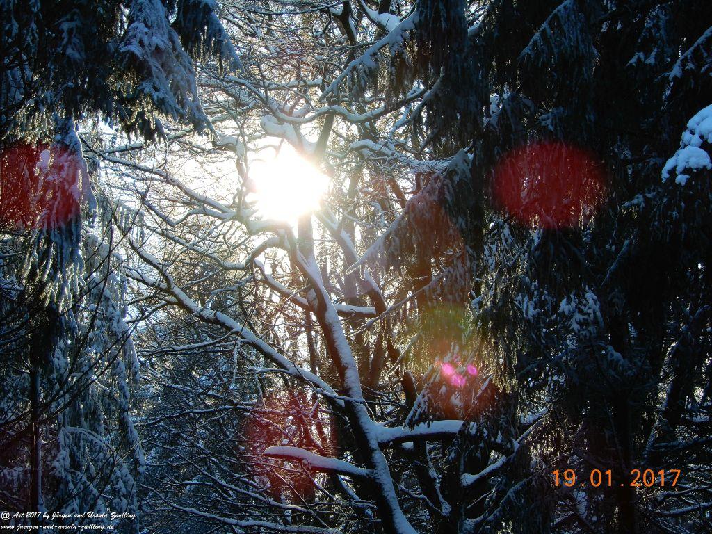 Philosophische Bildwanderung Winter Wonderland am Großen Feldberg-Taunus mit alpinem Charakter
