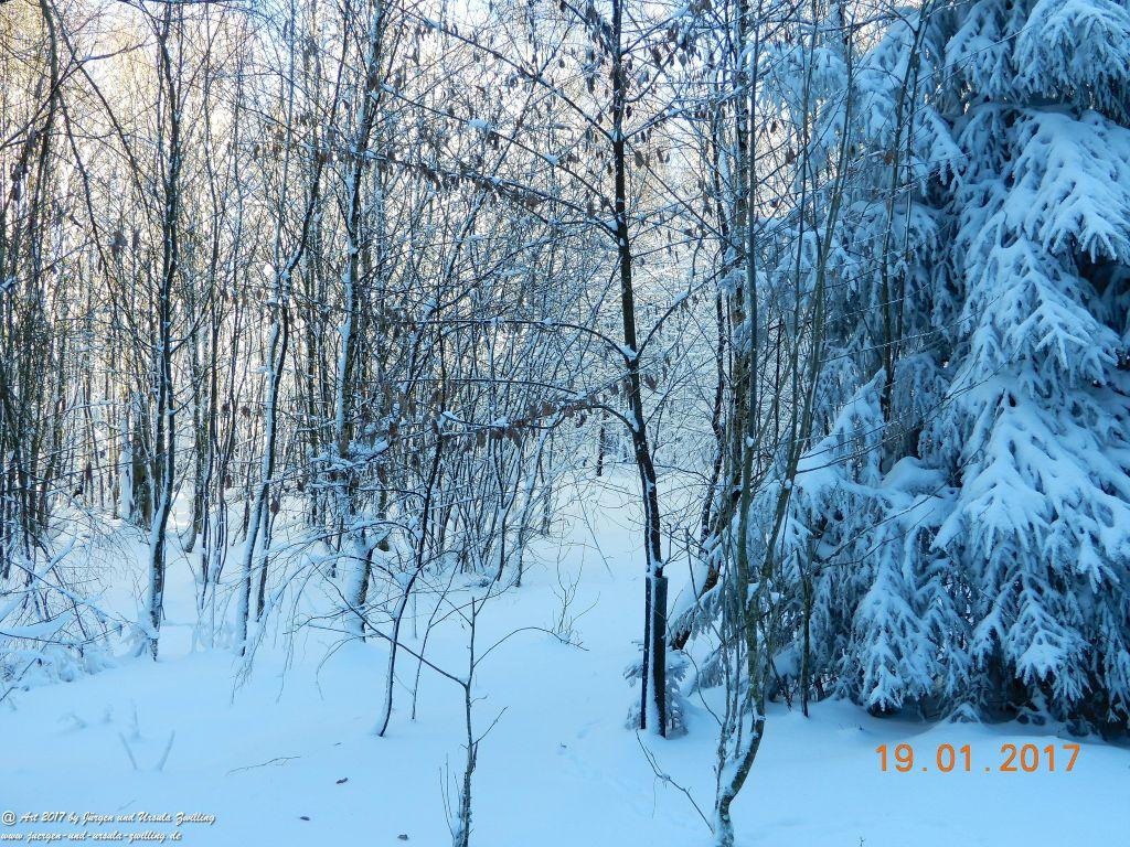 Philosophische Bildwanderung Winter Wonderland am Großen Feldberg-Taunus mit alpinem Charakter