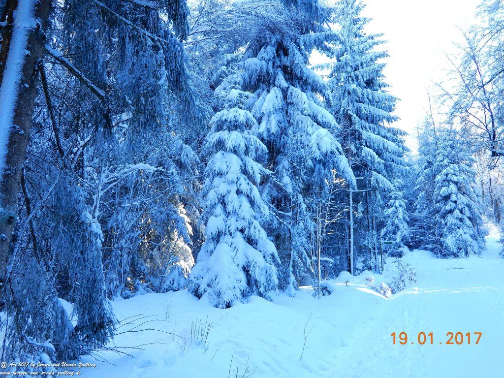 Philosophische Bildwanderung Winter Wonderland am Großen Feldberg-Taunus mit alpinem Charakter