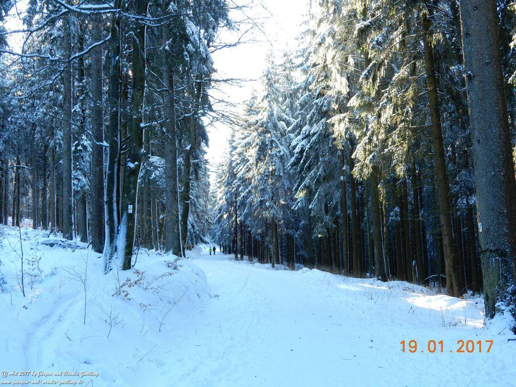 Philosophische Bildwanderung Winter Wonderland am Großen Feldberg-Taunus mit alpinem Charakter