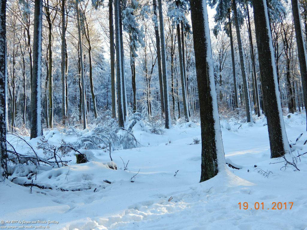 Philosophische Bildwanderung Winter Wonderland am Großen Feldberg-Taunus mit alpinem Charakter