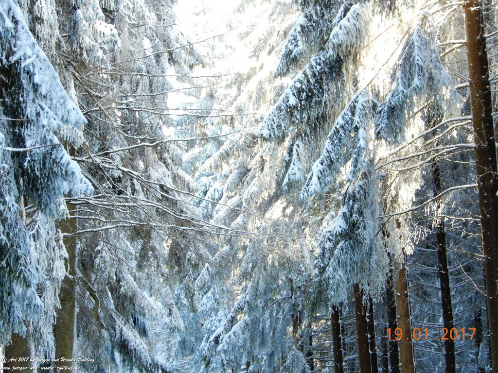 Philosophische Bildwanderung Winter Wonderland am Großen Feldberg-Taunus mit alpinem Charakter