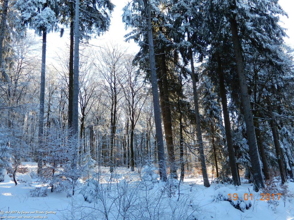 Philosophische Bildwanderung Winter Wonderland am Großen Feldberg-Taunus mit alpinem Charakter