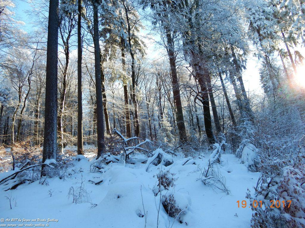 Philosophische Bildwanderung Winter Wonderland am Großen Feldberg-Taunus mit alpinem Charakter