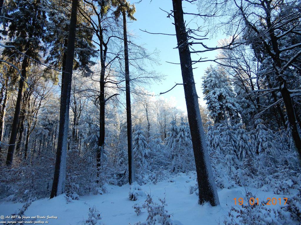 Philosophische Bildwanderung Winter Wonderland am Großen Feldberg-Taunus mit alpinem Charakter