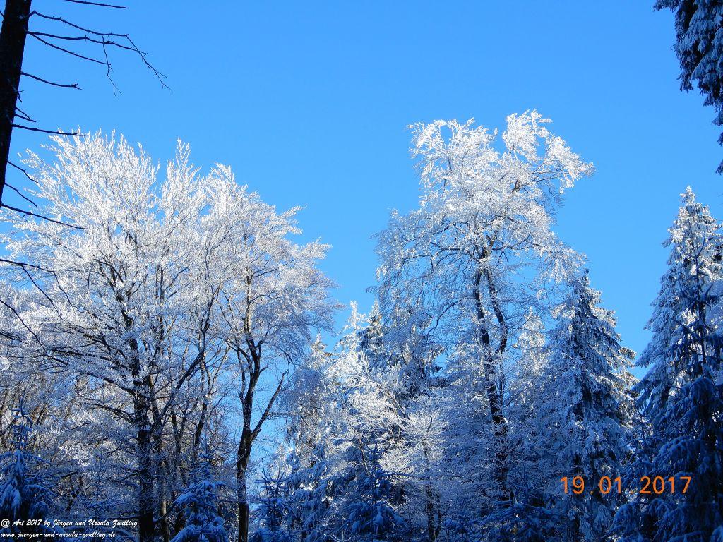 Philosophische Bildwanderung Winter Wonderland am Großen Feldberg-Taunus mit alpinem Charakter
