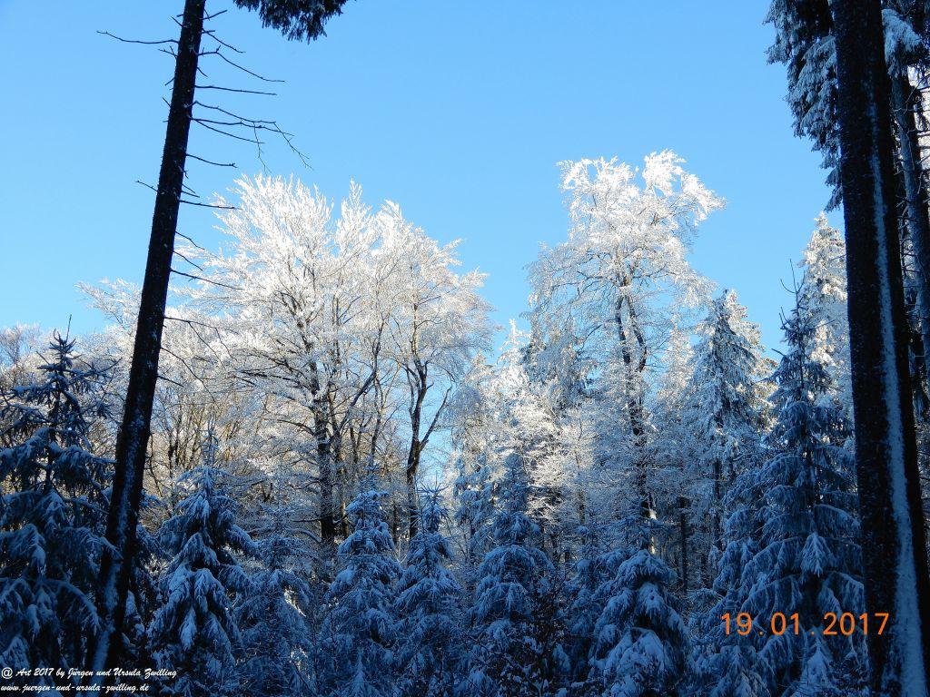 Philosophische Bildwanderung Winter Wonderland am Großen Feldberg-Taunus mit alpinem Charakter
