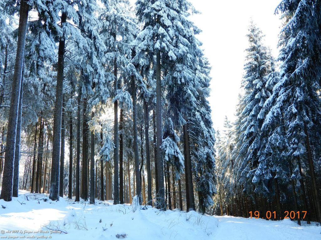 Philosophische Bildwanderung Winter Wonderland am Großen Feldberg-Taunus mit alpinem Charakter