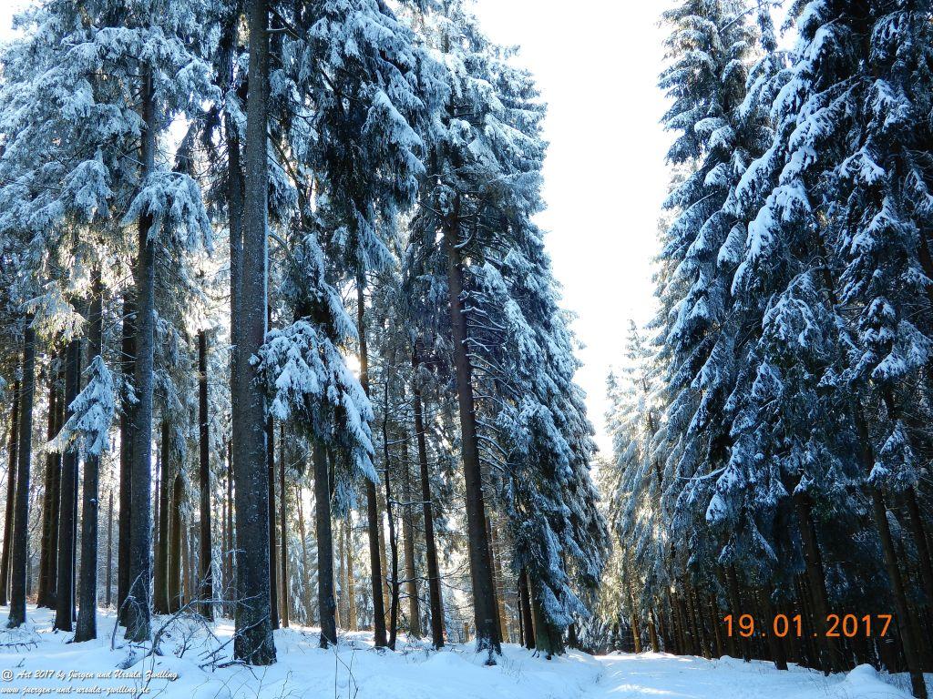 Philosophische Bildwanderung Winter Wonderland am Großen Feldberg-Taunus mit alpinem Charakter