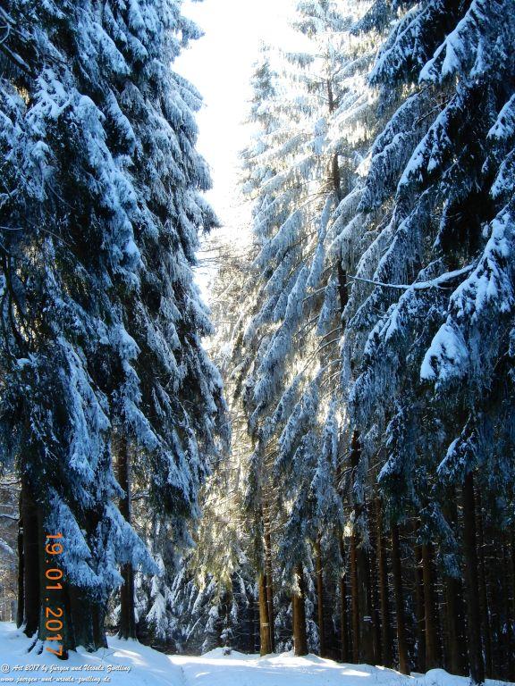 Philosophische Bildwanderung Winter Wonderland am Großen Feldberg-Taunus mit alpinem Charakter