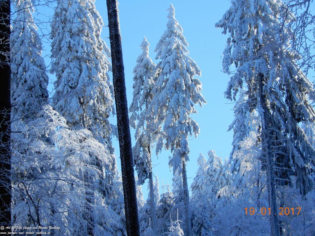 Philosophische Bildwanderung Winter Wonderland am Großen Feldberg-Taunus mit alpinem Charakter