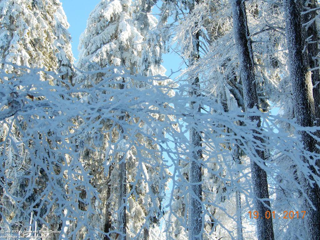 Philosophische Bildwanderung Winter Wonderland am Großen Feldberg-Taunus mit alpinem Charakter