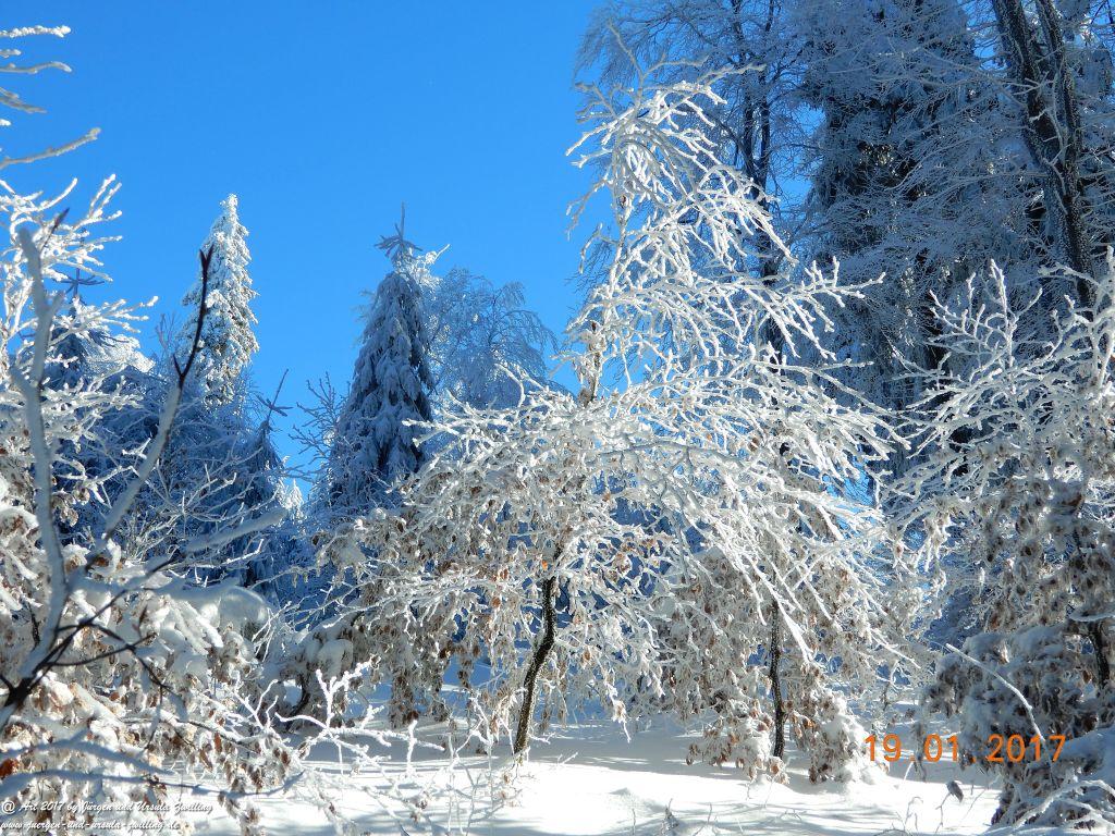 Philosophische Bildwanderung Winter Wonderland am Großen Feldberg-Taunus mit alpinem Charakter