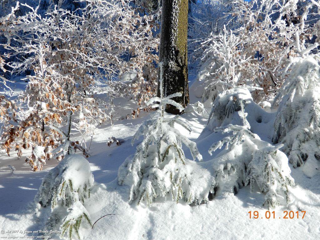 Philosophische Bildwanderung Winter Wonderland am Großen Feldberg-Taunus mit alpinem Charakter