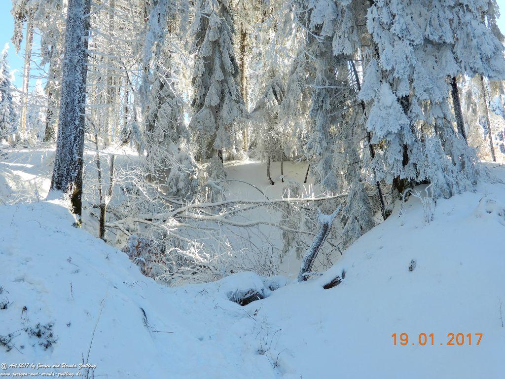 Philosophische Bildwanderung Winter Wonderland am Großen Feldberg-Taunus mit alpinem Charakter