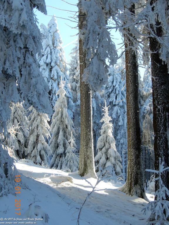 Philosophische Bildwanderung Winter Wonderland am Großen Feldberg-Taunus mit alpinem Charakter