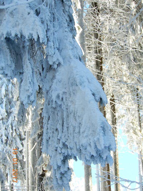 Philosophische Bildwanderung Winter Wonderland am Großen Feldberg-Taunus mit alpinem Charakter