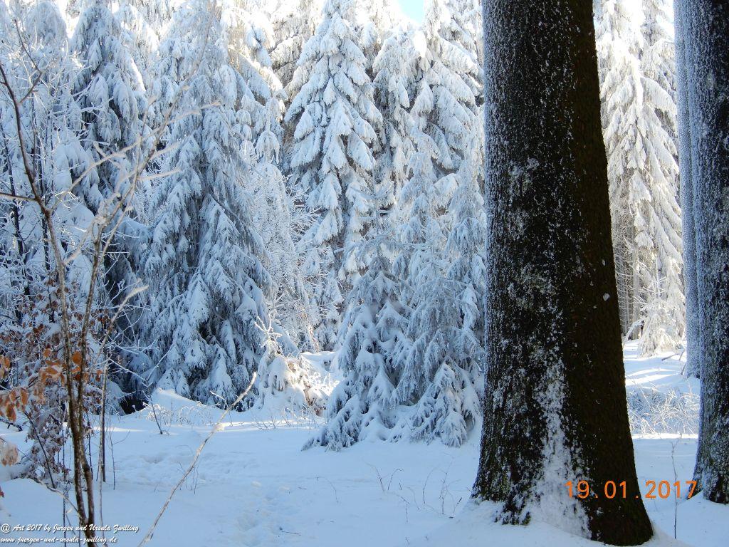 Philosophische Bildwanderung Winter Wonderland am Großen Feldberg-Taunus mit alpinem Charakter