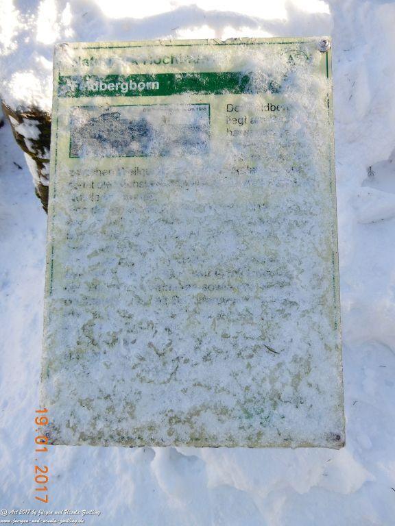 Philosophische Bildwanderung Winter Wonderland am Großen Feldberg-Taunus mit alpinem Charakter