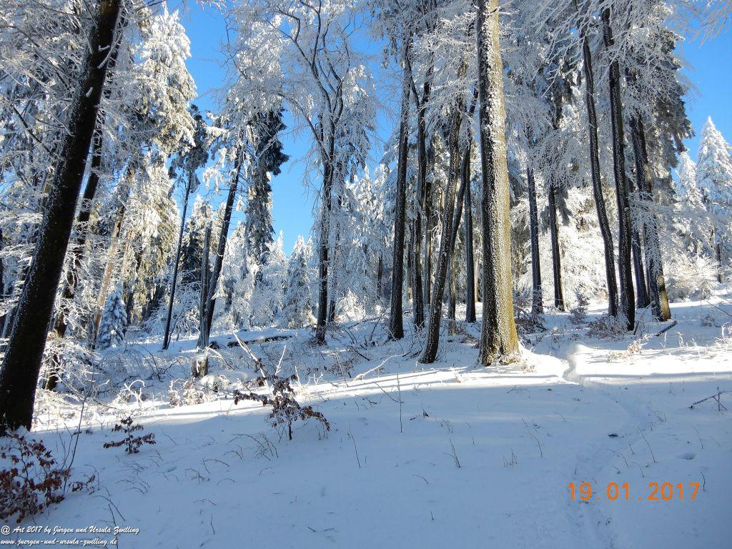 Philosophische Bildwanderung Winter Wonderland am Großen Feldberg-Taunus mit alpinem Charakter