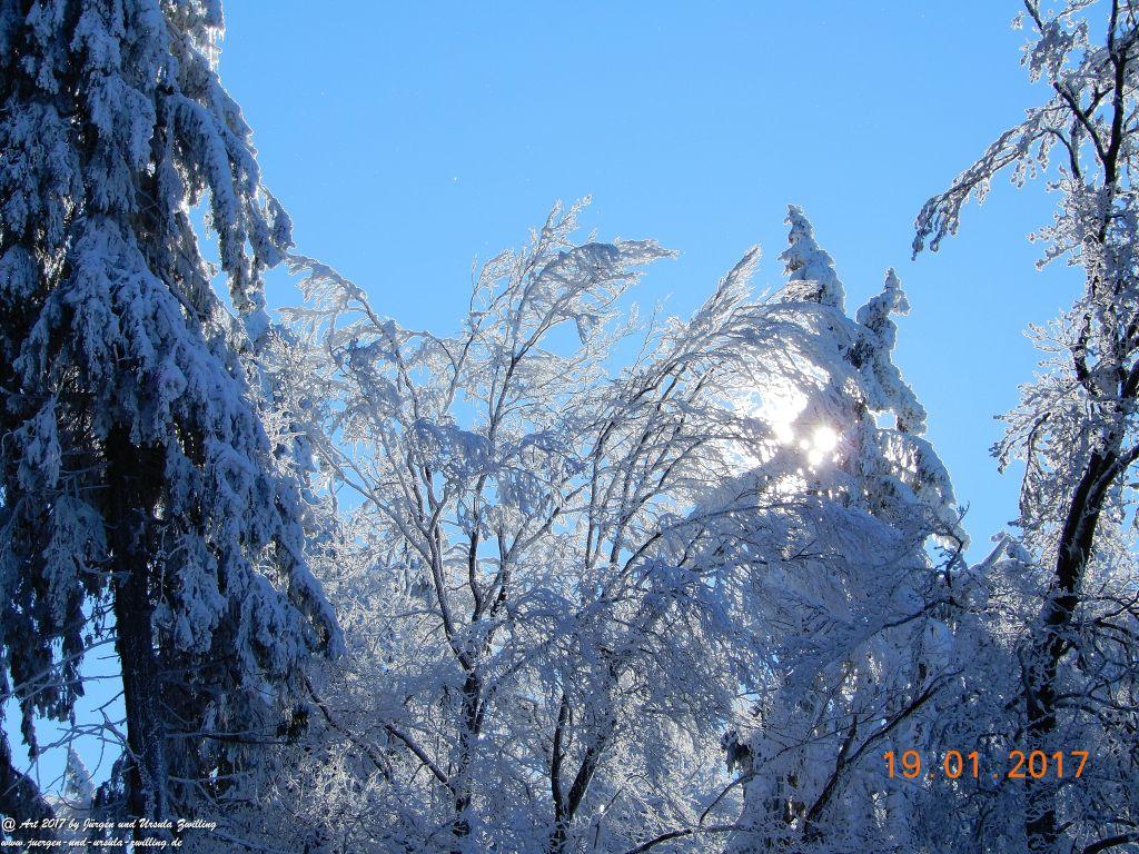 Philosophische Bildwanderung Winter Wonderland am Großen Feldberg-Taunus mit alpinem Charakter