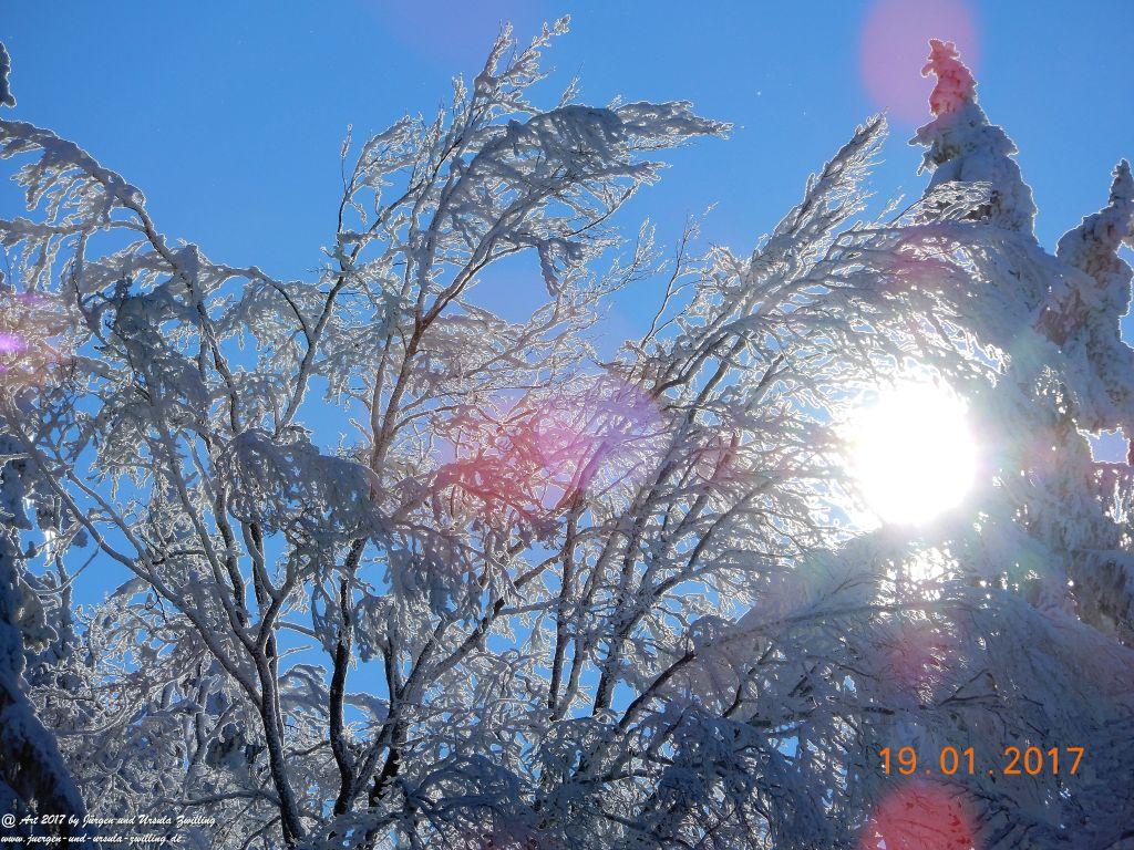 Philosophische Bildwanderung Winter Wonderland am Großen Feldberg-Taunus mit alpinem Charakter