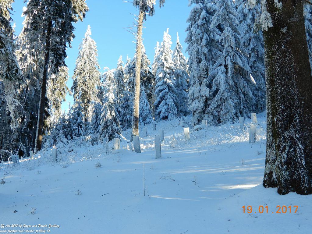 Philosophische Bildwanderung Winter Wonderland am Großen Feldberg-Taunus mit alpinem Charakter