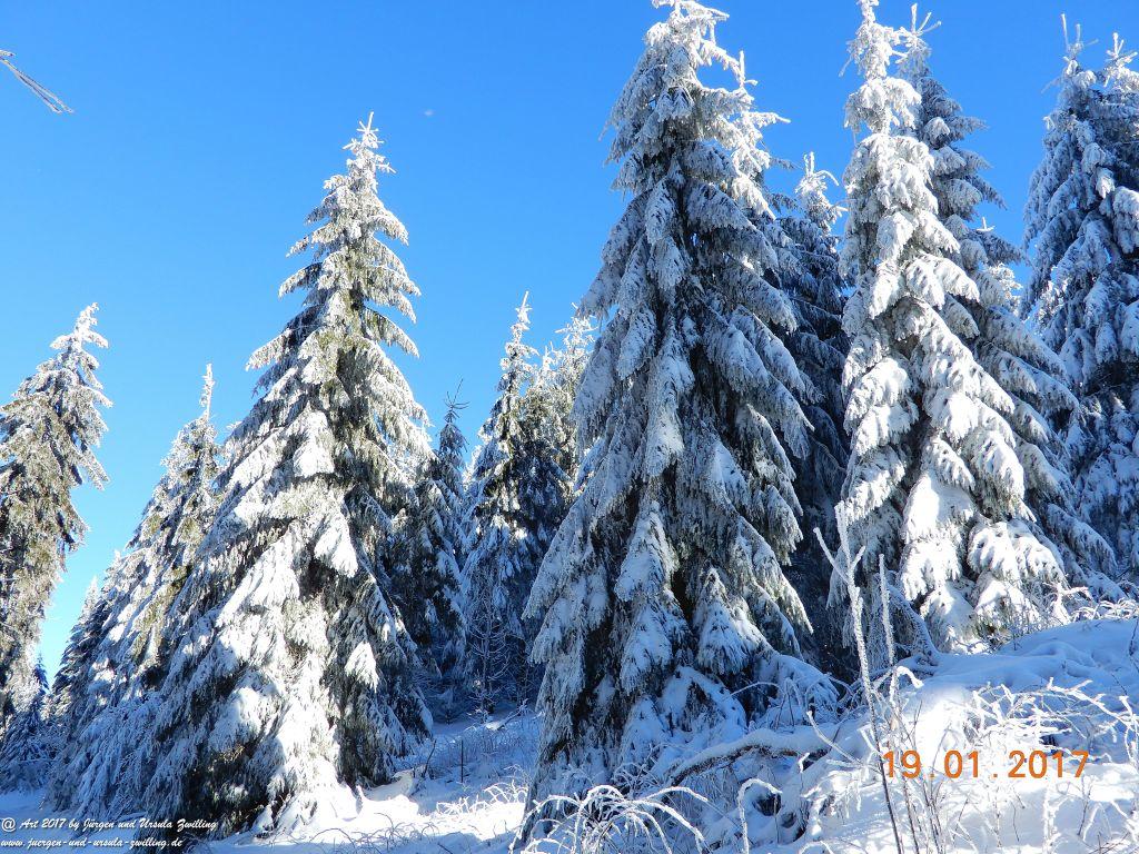 Philosophische Bildwanderung Winter Wonderland am Großen Feldberg-Taunus mit alpinem Charakter