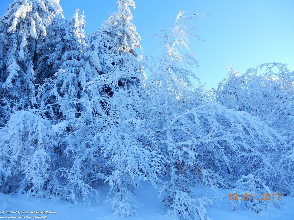 Philosophische Bildwanderung Winter Wonderland am Großen Feldberg-Taunus mit alpinem Charakter