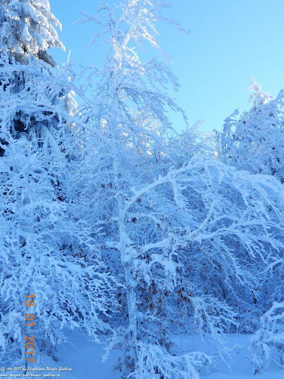 Philosophische Bildwanderung Winter Wonderland am Großen Feldberg-Taunus mit alpinem Charakter