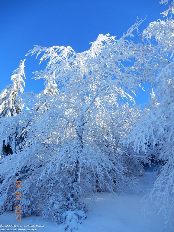 Philosophische Bildwanderung Winter Wonderland am Großen Feldberg-Taunus mit alpinem Charakter