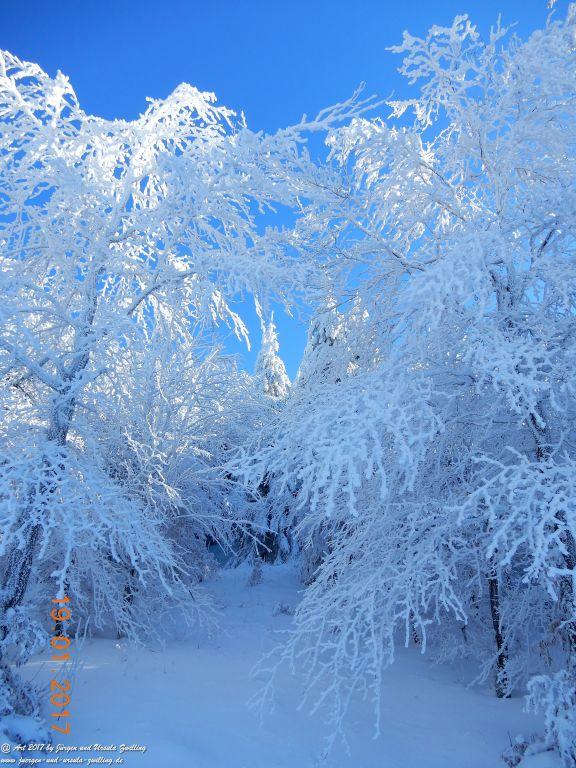 Philosophische Bildwanderung Winter Wonderland am Großen Feldberg-Taunus mit alpinem Charakter