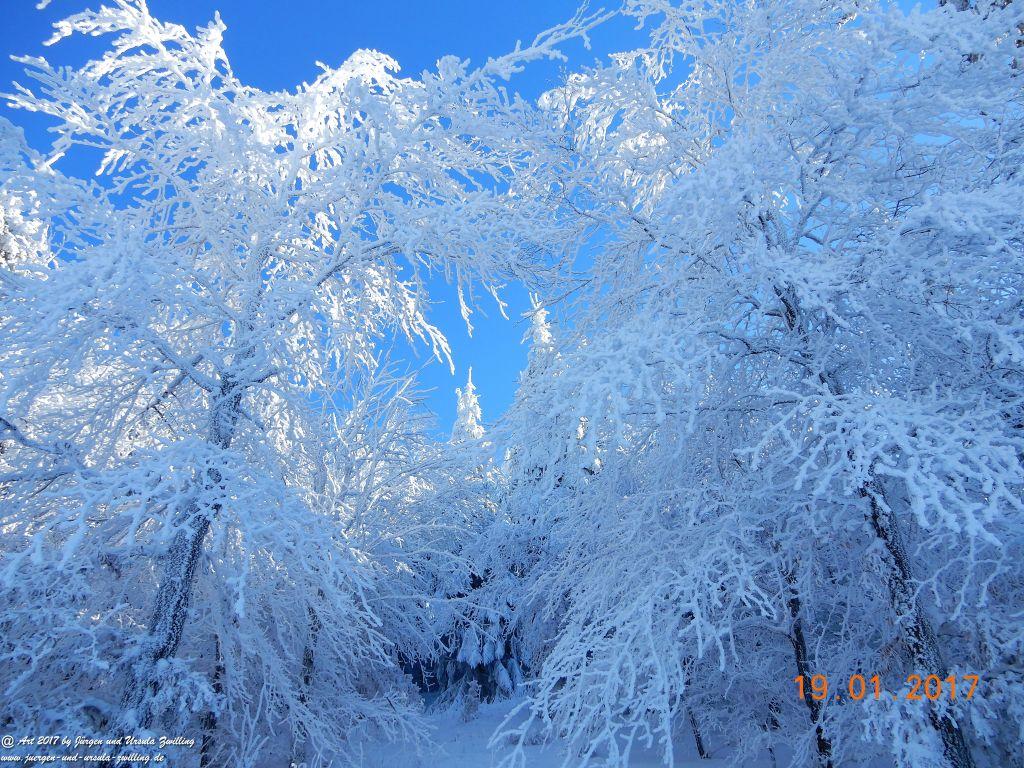 Philosophische Bildwanderung Winter Wonderland am Großen Feldberg-Taunus mit alpinem Charakter