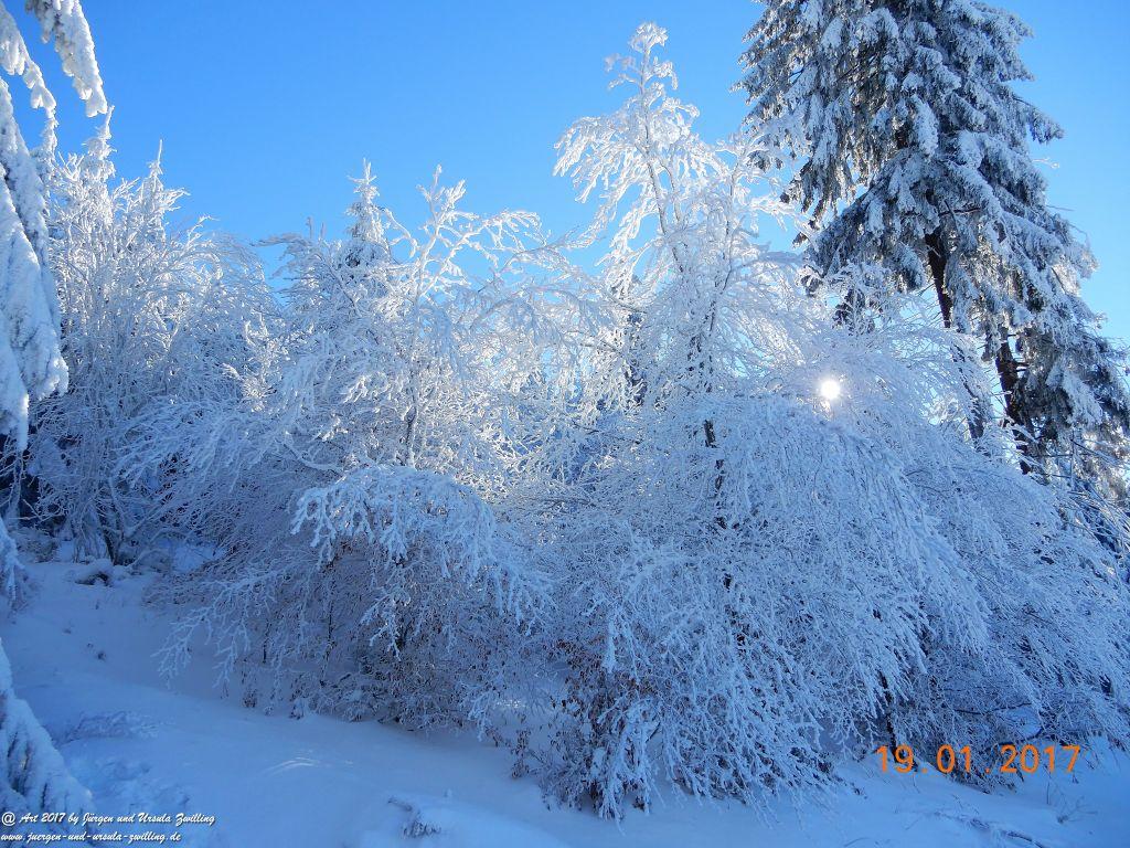 Philosophische Bildwanderung Winter Wonderland am Großen Feldberg-Taunus mit alpinem Charakter
