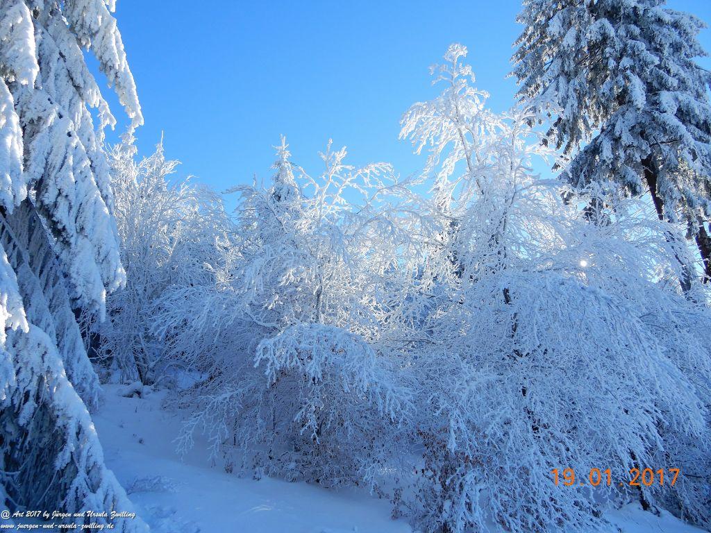 Philosophische Bildwanderung Winter Wonderland am Großen Feldberg-Taunus mit alpinem Charakter