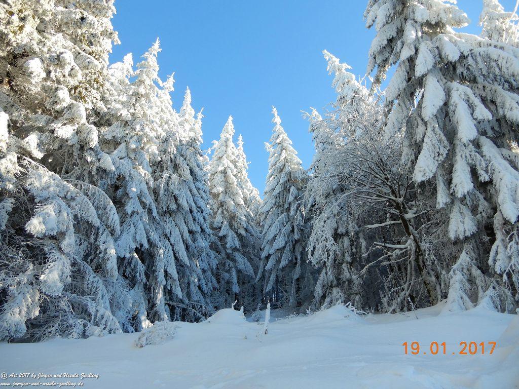 Philosophische Bildwanderung Winter Wonderland am Großen Feldberg-Taunus mit alpinem Charakter