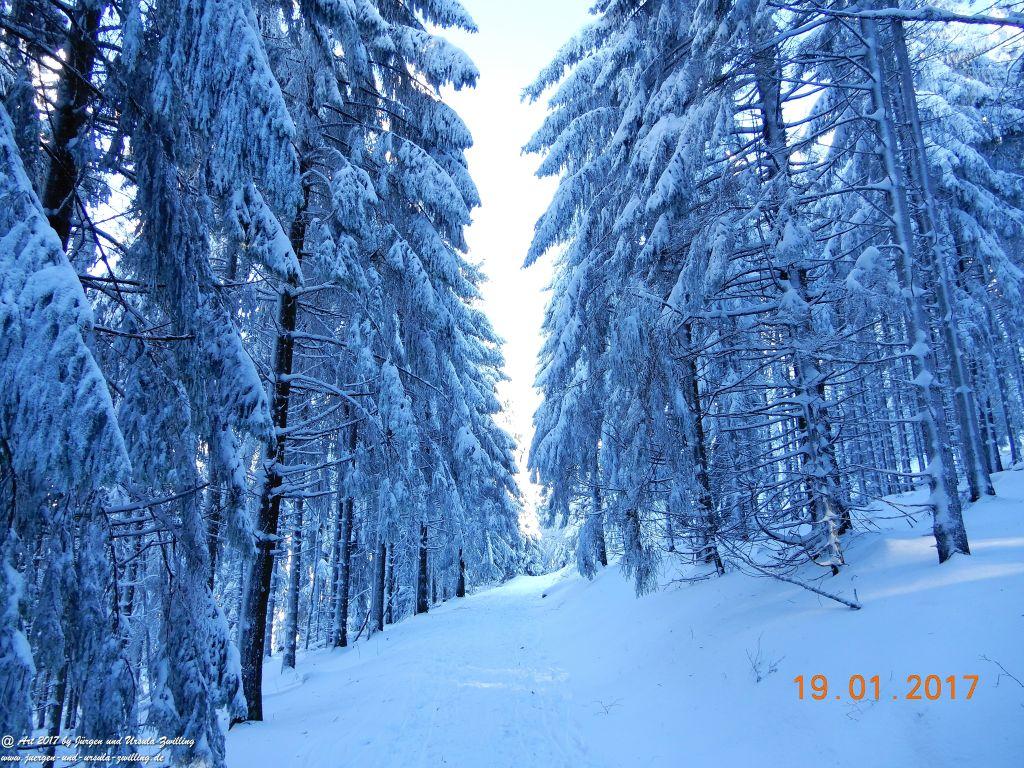 Philosophische Bildwanderung Winter Wonderland am Großen Feldberg-Taunus mit alpinem Charakter