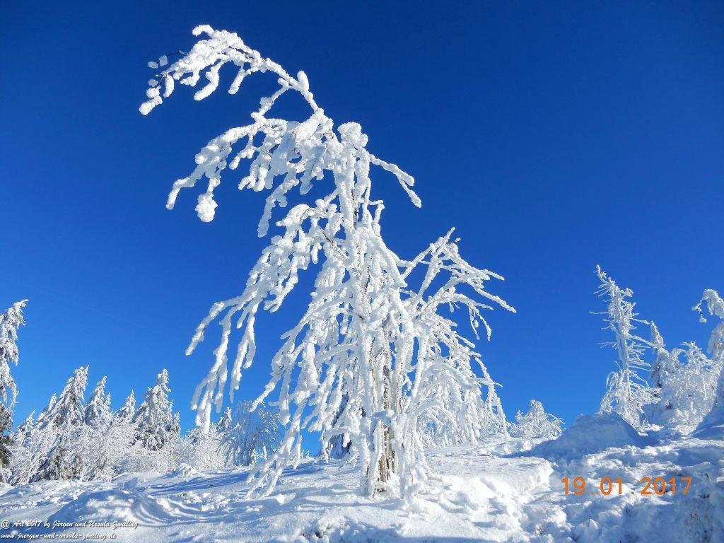 Philosophische Bildwanderung Winter Wonderland am Großen Feldberg-Taunus mit alpinem Charakter