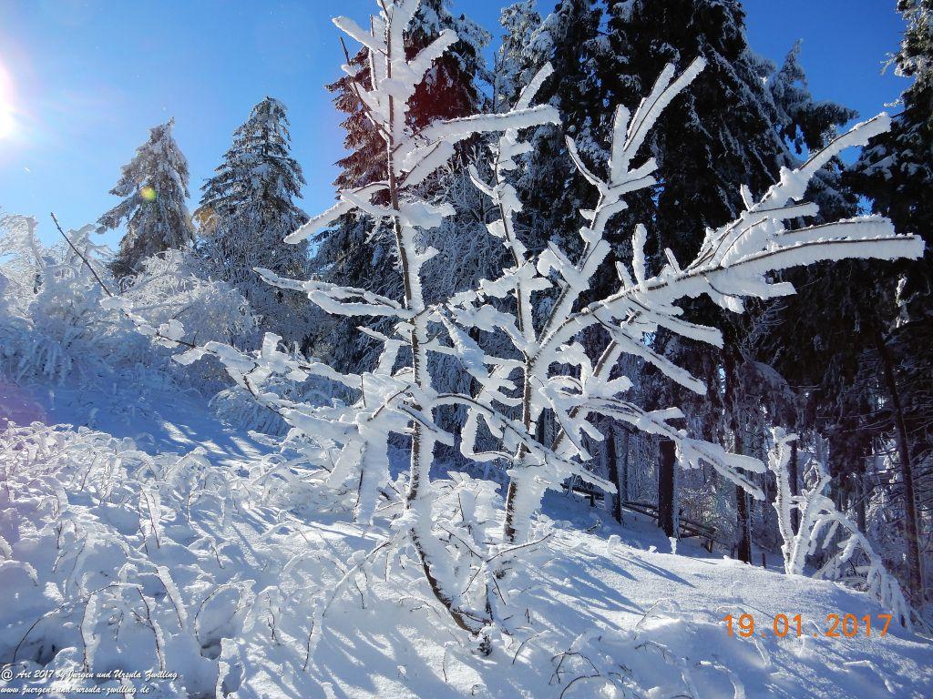 Philosophische Bildwanderung Winter Wonderland am Großen Feldberg-Taunus mit alpinem Charakter